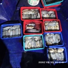 [거제] (내만 팁런)무늬~초~대박 장원 31수 총 125수 스마일호(오… 사진