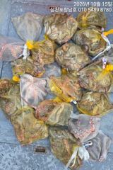 [사천] 15일문어조황 16일부터는쭈꾸미나갑니다