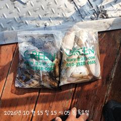 쭈.갑출조