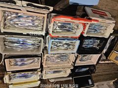 고기는 많고 씨알은 깡패급! 내만갈치 대박 사진