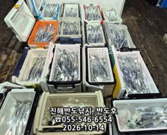 14일,내만갈치,대박행진,엄청나게 나옵니다.오늘출항(목,금~예약가능) 사진