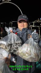 10월15일 팀보스선단 야간문어조황 사진