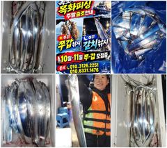 목화피싱 10/14일 야간 갈치낚시 조황 씨앟 좋은걸 잡았네요.대신 아쉽네요.