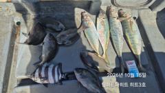 48분전 [여수,광양] [여수 젠틀호] #내만갈치 10.15 조황입니다 사진