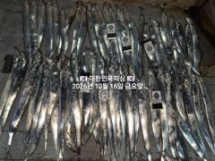 내만갈치~쿨러 터지게~~대갈치로 쓸어 담고~~예약가능