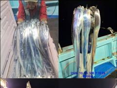[통영] 통영백가피싱)초저녁 대박 조황으로 시작!! 오늘도 대박을 기대하…