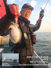 16일, 군산은 갑오징어 천국~오늘도 잘 나오고 있어요~실시간~내일도 갑니다~군산낚시프라자 하이원호