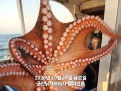 16일, 군산 왕문어 ~묵직한 손맛, 싸이즈 좋은 왕문어~실시간~군산낚시프라자 챔피언호 사진