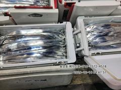 [통영] (왕갈치)주렁주렁 大치들 줄타고 먼바다 외줄 동양호(오늘 예약)