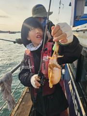 갑오징어조황 사진