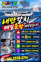 내만갈치 씨알좀보이소!!! 짱멋지다~오늘예약가능