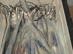 [진해] 내만갈치 씨알급으로 손맛보고~~~예약가능
