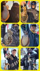 [무창포 플러스호] 10월 16일 쭈꾸미 100마리 이상, 갑오징어 65마리 정프로님의 꾸준한 실력~ / 예약문의 010-3304-7556 사진