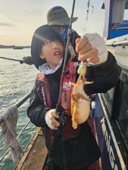 갑오징어조황