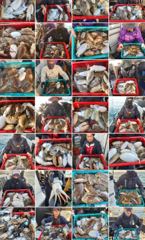 [먹물조황]라온호10월16일갑오징어출조 사진