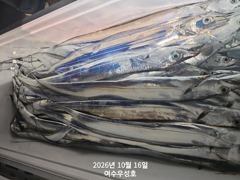 10월16일입항 먼바다갈치 조황소식입니다