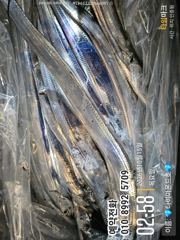[진해] 예약가능 내만갈치 손맛보러오세요! 전화주세요~ 사진