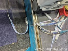 2026.10.16 갈치 조황입니다.