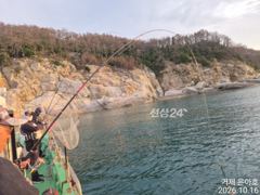 《감성돔 》돍ㆍ감.ㆍ벵 마릿수 진행중 ~ 사진