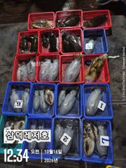 [팁런]k.와전무시급들(토요일 출항확정.자리여유) 사진