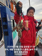 통영 금정호 아침부터 키로급문어가 신나게 올라옵니다 내일 오후 자리여유있어요 사진