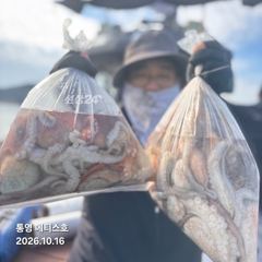 통영] 문어 사량도 굴어장 조황 16일(금) 통영 메티스호 사진