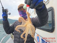 오늘도 왕대구빡 쭈꾸미 찾아 열심히 달렸습니다.월요일부터 쭈우욱 예약가능합니다!! 사진