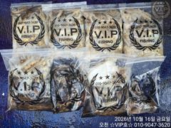 10월 16일 오천항VIP호 쭈꾸미&갑조황 (갑84,쭈95)