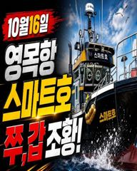 10월16일 영목항 스마트호 쭈,갑 조황입니다.