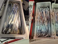4시간전 [군산] 10/16. 군산. 대한낚시. 광어. 150수. 오바. 대박. 조황 사진