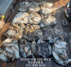 10/16 [군산 뚱스호]_갑오징어 종일반 조황