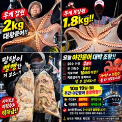 삼천포 문어낚시 올해 야간문어 최고 조황! 2kg 대왕문어·20수 이상 2명·키로오바 10마리 이상 삼천포 박프로 흑진호 사진