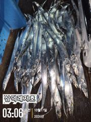 [통영] [팁런] k,k,완전 무시급들(오늘,출항확정,자리널널) 사진