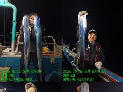 (14석통영명륜3호)와우~대갈치들 완전대박 쿨러만땅 고생하셨습니다 오늘도 달립니다(오늘한분예약가능 010.9550.7951) 사진