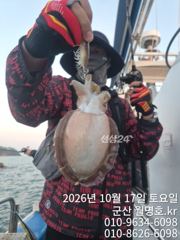 17일. 쭈갑 오전반 실시간