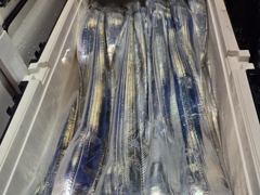 [통영] 통영영운호14석) 먼바다 대갈치 올들어 최고의 조황 씨알 마릿수… 사진