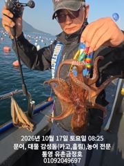 [통영] 통영 금정호 오전문어 시작이 좋습니다! 오후타임 자리여유있어요 사진
