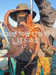17일, 군산 왕문어~싸이즈 끝내줍니다~실시간~매일출조~군산낚시프라자 나드리호 사진