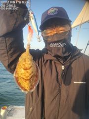 17일, 군산 쭈,갑~오늘도 잘 나오고 있어요~~실시간~군산낚시프라자 그랜드호