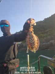 통영 송현호))킬로오버 킬로급 돌문어 마구 마구 진행중~ 사진