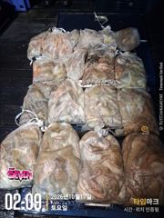 ★ 2kg 오버 등장! 장원 12마리 ★ 군산 뉴세븐호 10월 16일 야간문어 조황