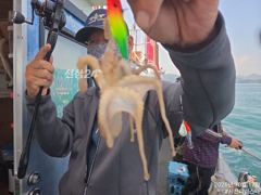 사천피싱스타 주꾸미 조황입니다