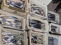내만갈치 美친..씨알깡패! 대빵구리 퍽퍽퍽!(예약가능)