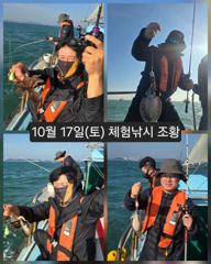[피닉스피싱호] 10월 17일(토) 체험낚시 조황 사진