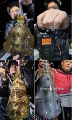 팁런무늬!!사이즈 굿!!내일 일 정상출항 예약가능 사진