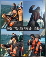 [피닉스피싱호] 10월 17일(토) 체험낚시 조황 사진