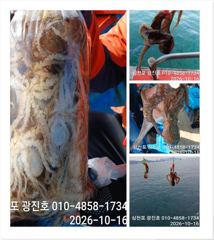 광진호,왕쭈 장원145수{선비,할인} 20,21,22,23,쭉~자리여유 예약중