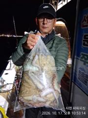 [사천] 주꾸미 & 야간 돌문어(황금 물때)17일~굿조황 ~내일9자리여유