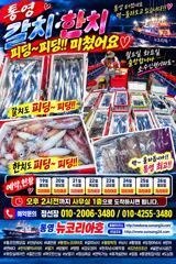 월요일 화요일 출항합니다 소수인원이라도 달립니다!!! 사진