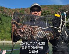[통영] (문어)누구나 마릿수 찬스~덩치들 연타 작렬 락피싱(19일 예약… 사진